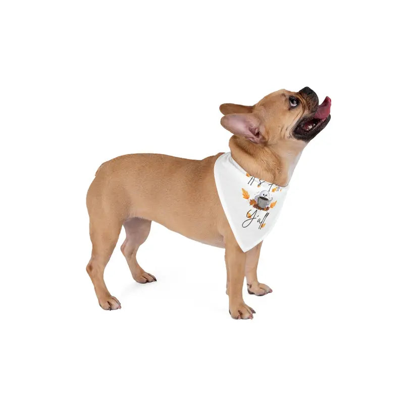 “It’S Fall Y’All” Pet Bandana