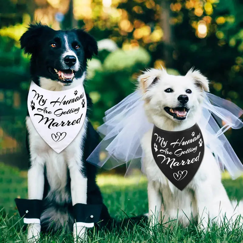 Dog Wedding Bandanas 'My Humans Are Getting Married Dog Bandana' Wedding Photo Prop, Pet Scarf, Pet Accessories (Black+White)