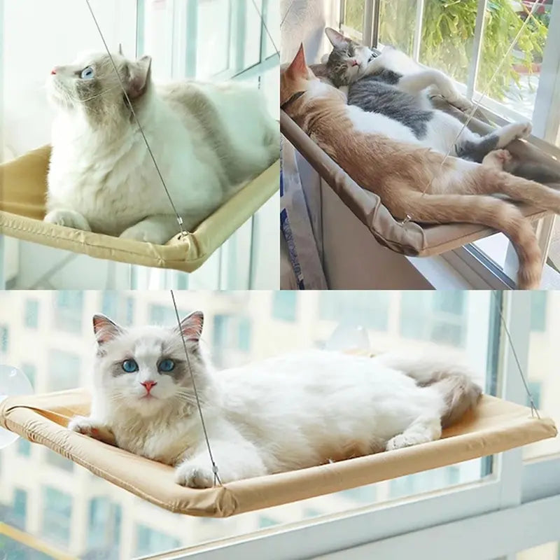 Cat Hammock, Cat Window Hanging Bed, Cat Window Lounger, Cat Bed, Sleeping Space for Cats, Cats Bed, Pet Supplies, Cat Stuff