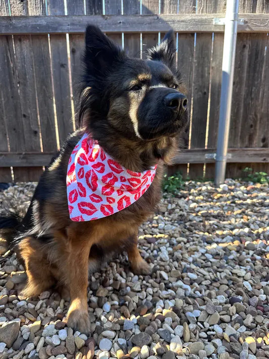 Kisses and Hearts Reverible Bandana