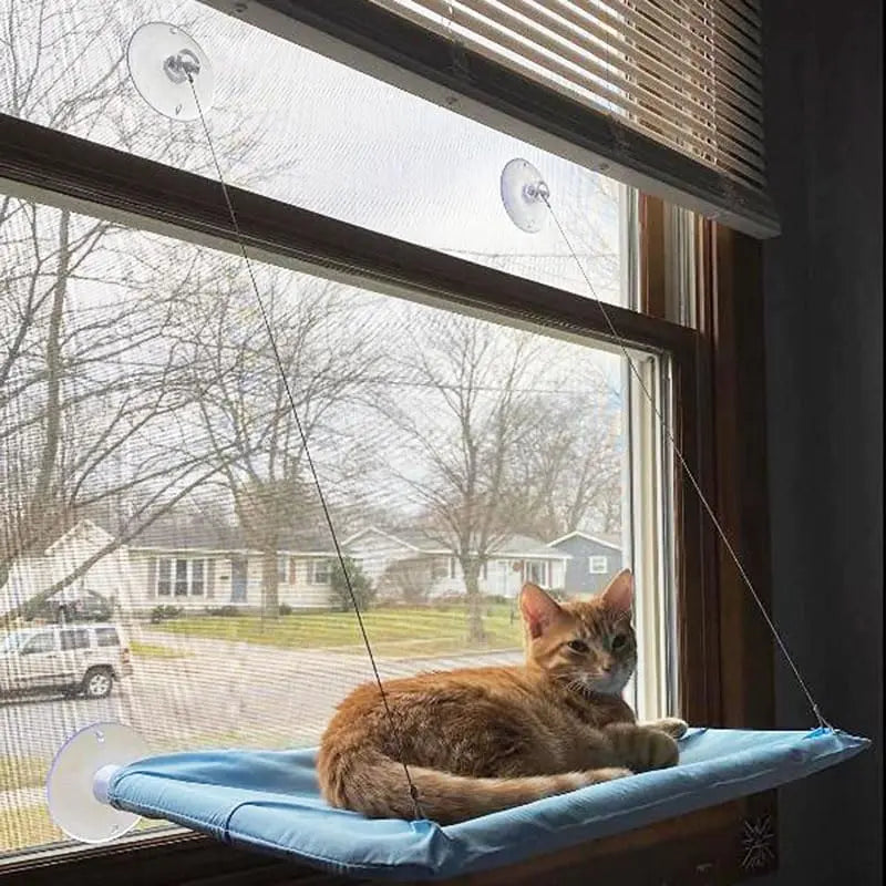 Cat Hammock, Cat Window Hanging Bed, Cat Window Lounger, Cat Bed, Sleeping Space for Cats, Cats Bed, Pet Supplies, Cat Stuff