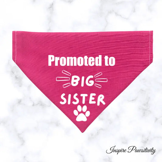 Promoted to Big Sister, Big Sister over the Collar Dog Bandana, Cute Pregnancy Announcement Idea with Dogs, Dog Bandana, Photo Shoot Bandana