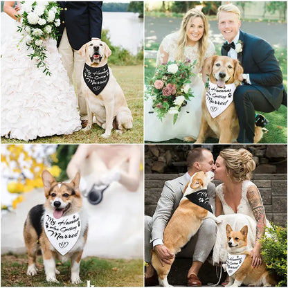 Dog Wedding Bandanas 'My Humans Are Getting Married Dog Bandana' Wedding Photo Prop, Pet Scarf, Pet Accessories (Black+White)