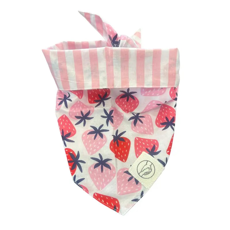 Berry Special Reversible Tie on Pet Bandana