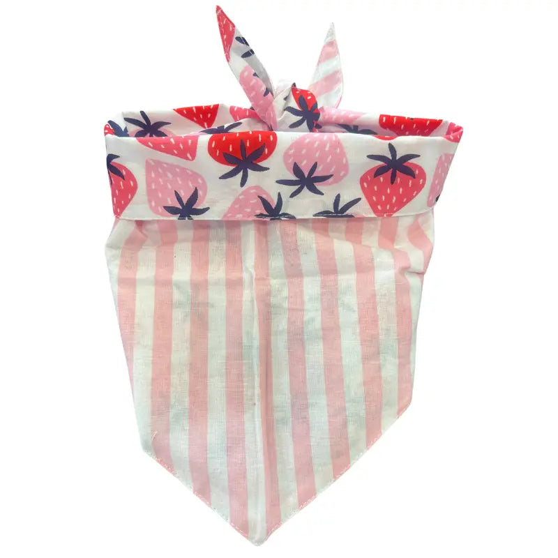 Berry Special Reversible Tie on Pet Bandana